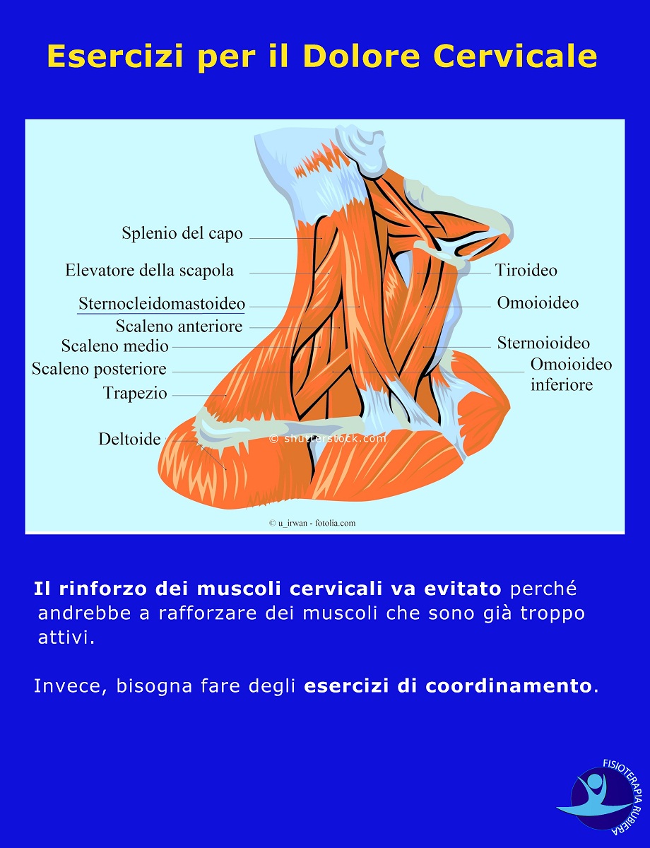 cuscino chiropratico blu Dispositivo di rilassamento della trazione cervicale per sollievo dal dolore di collo e spalle allineamento della colonna cervicale allungamento del collo 