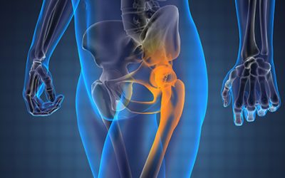 Articolazione del’anca e del ginocchio