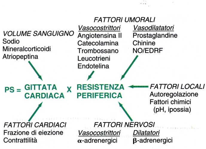 Ipertensione arteriosa essenziale o secondaria, sintomi e..