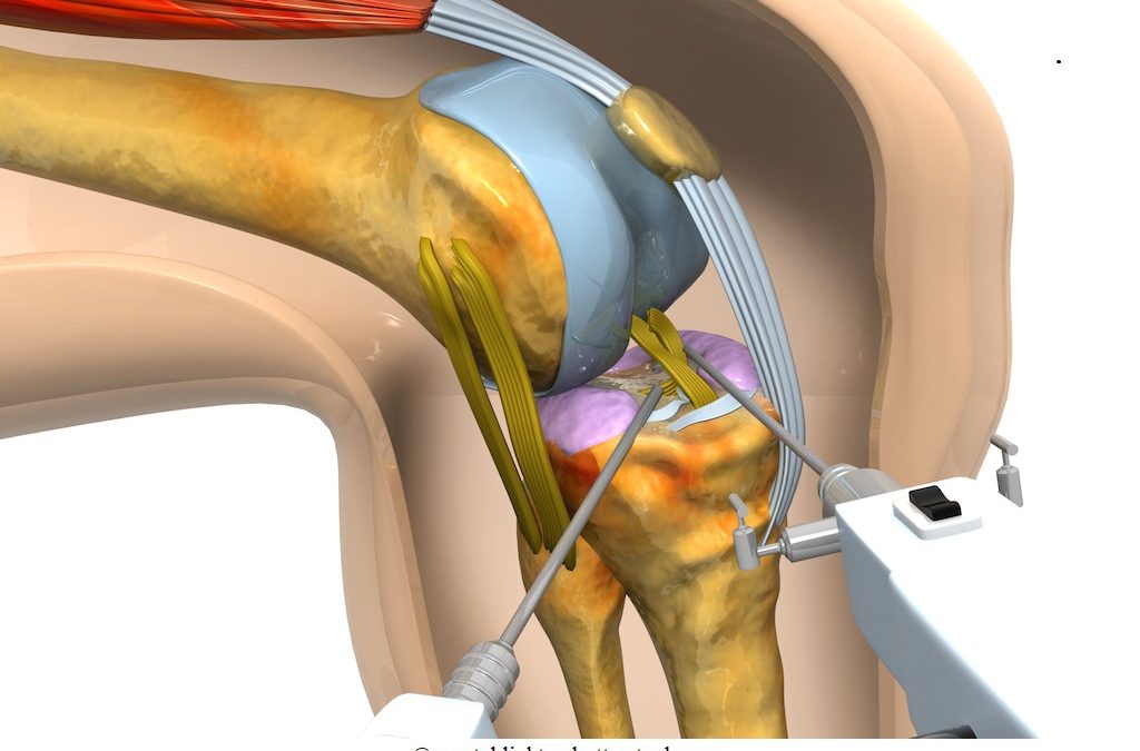 Anatomia del ginocchio