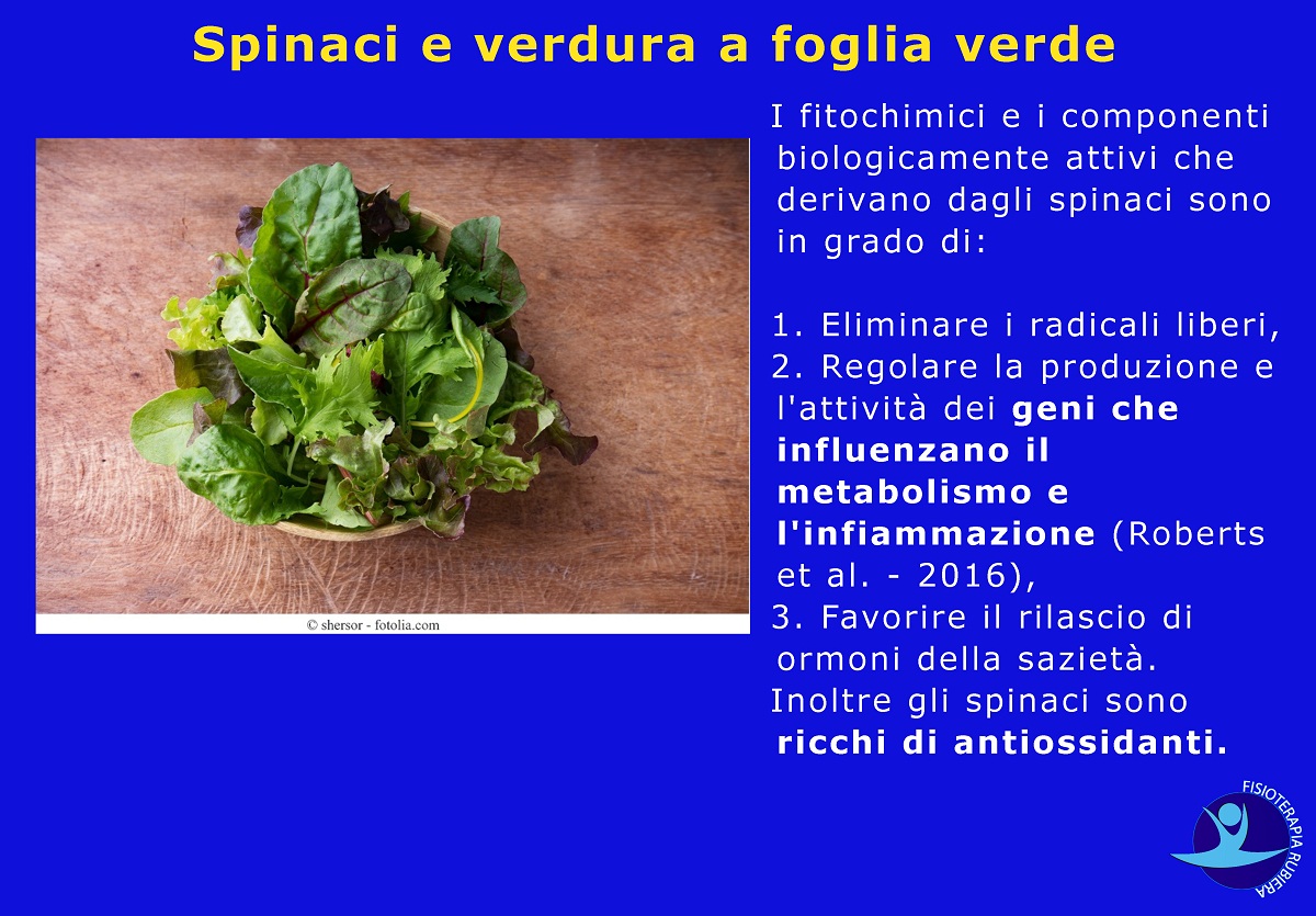 Spinaci-verdura-a-foglia-verde