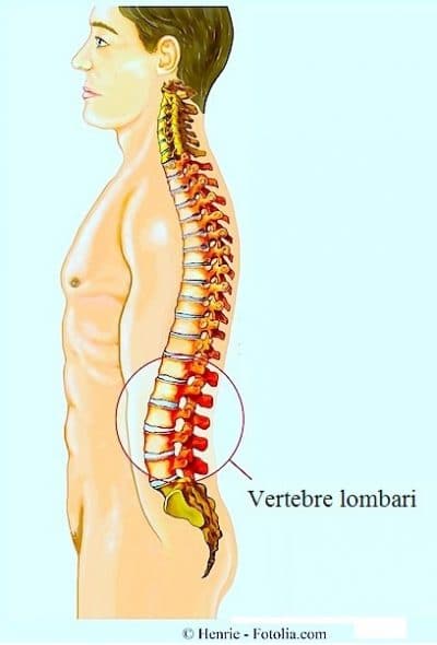 Colonna vertebrale,vertebre lombari