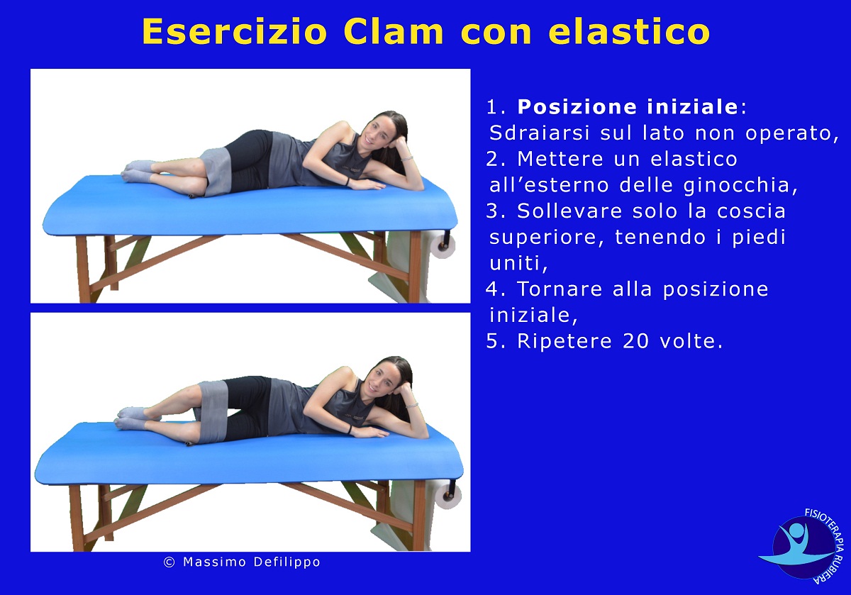 Esercizio Clam con elastico