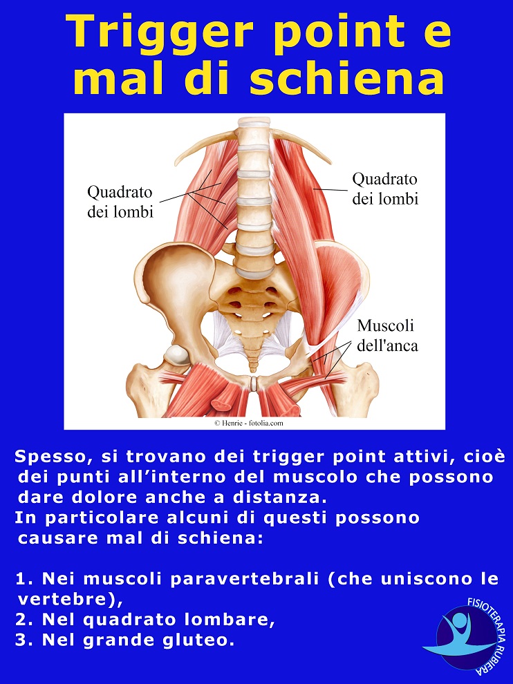 quadrato lombare, muscolo, schiena