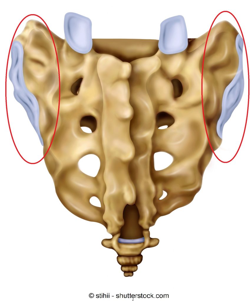 osso-sacro-posteriore